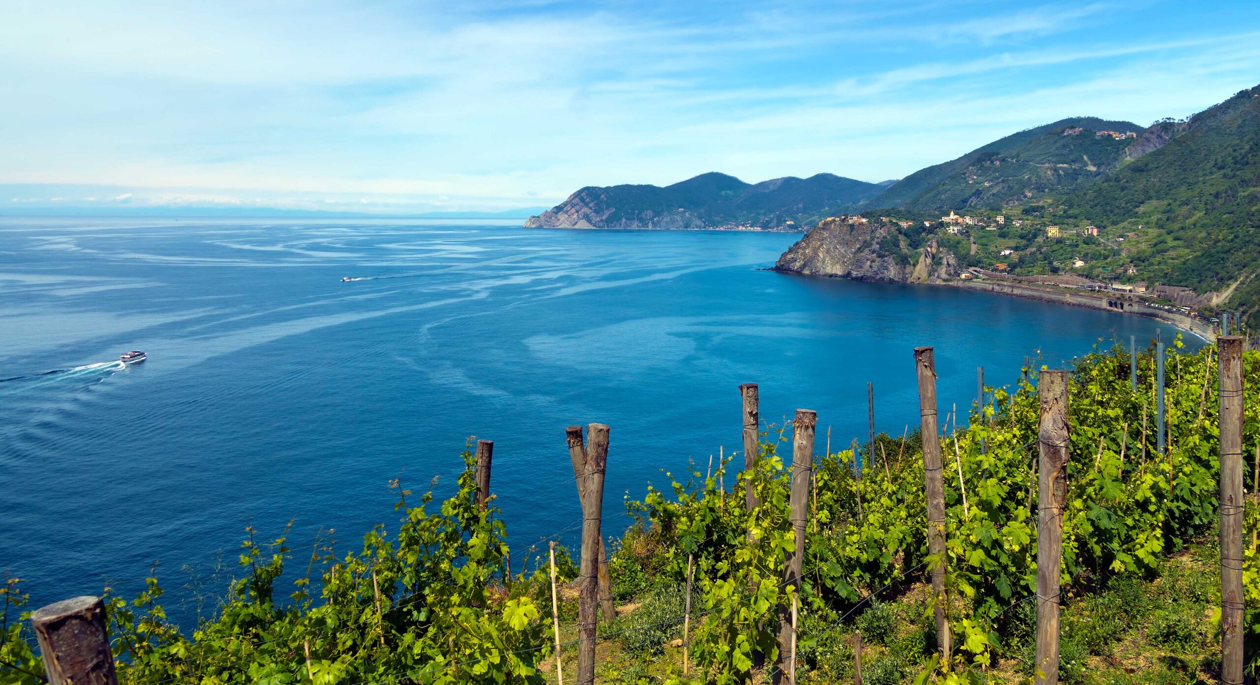 Meer im Glas - mediterrane Küstenweine Europas
