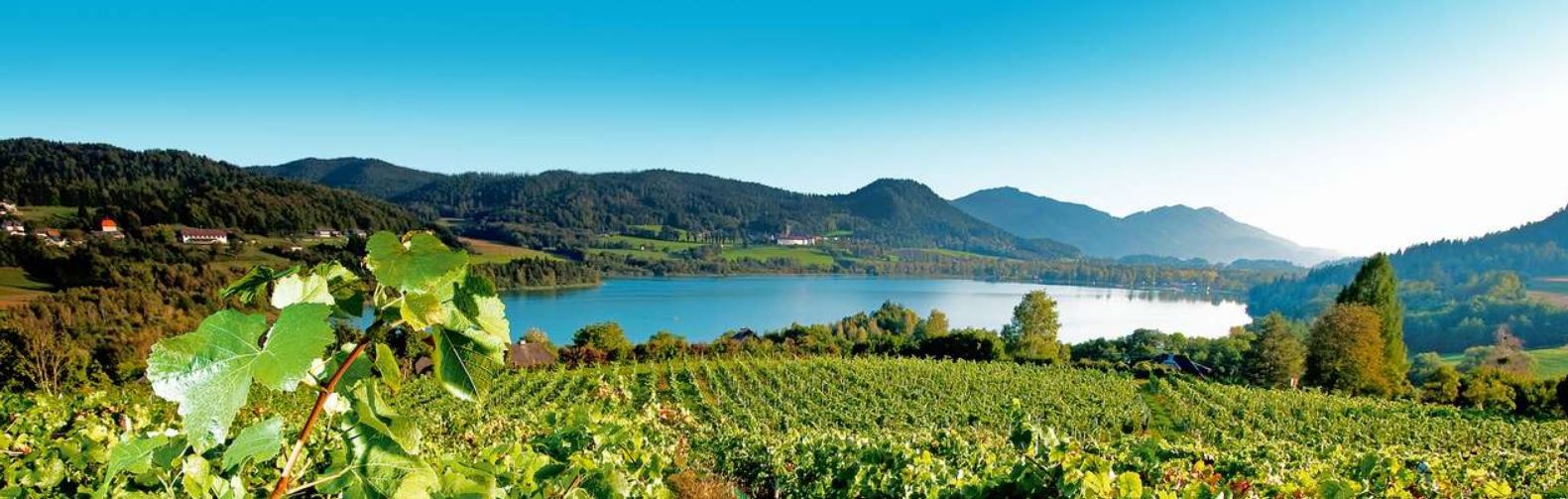 Seen-Weine aus europäischen Regionen